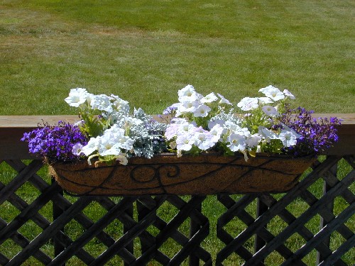 FlowerBasket Right